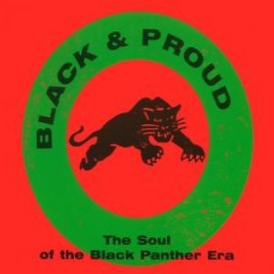 Soul Of The Black Panther Era